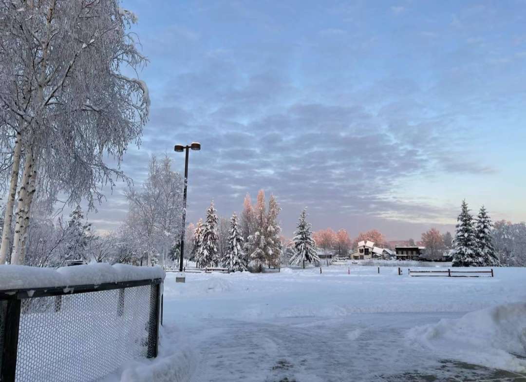 Northern Lights 2024