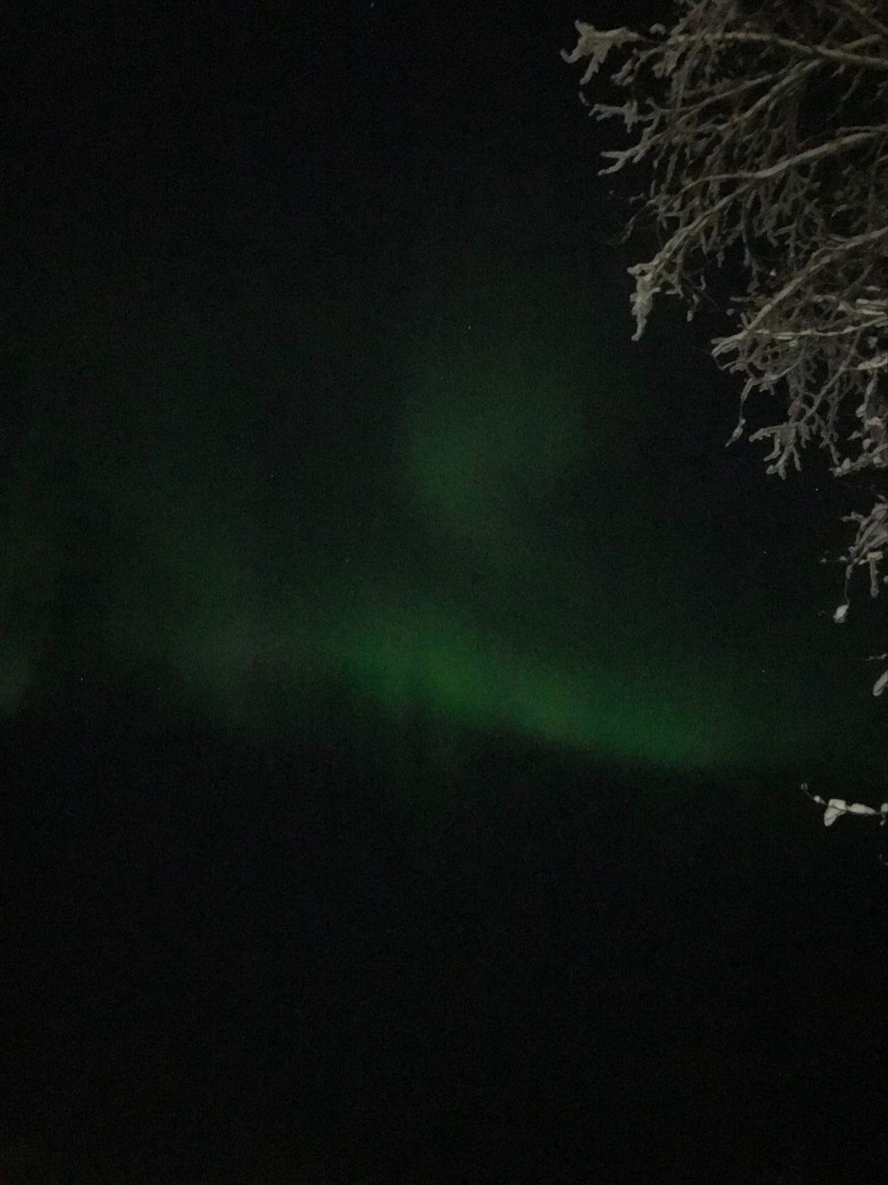 Northern Lights 2024